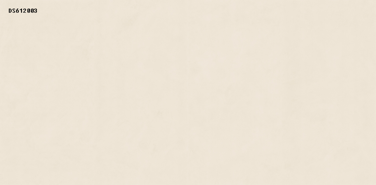 DS612003