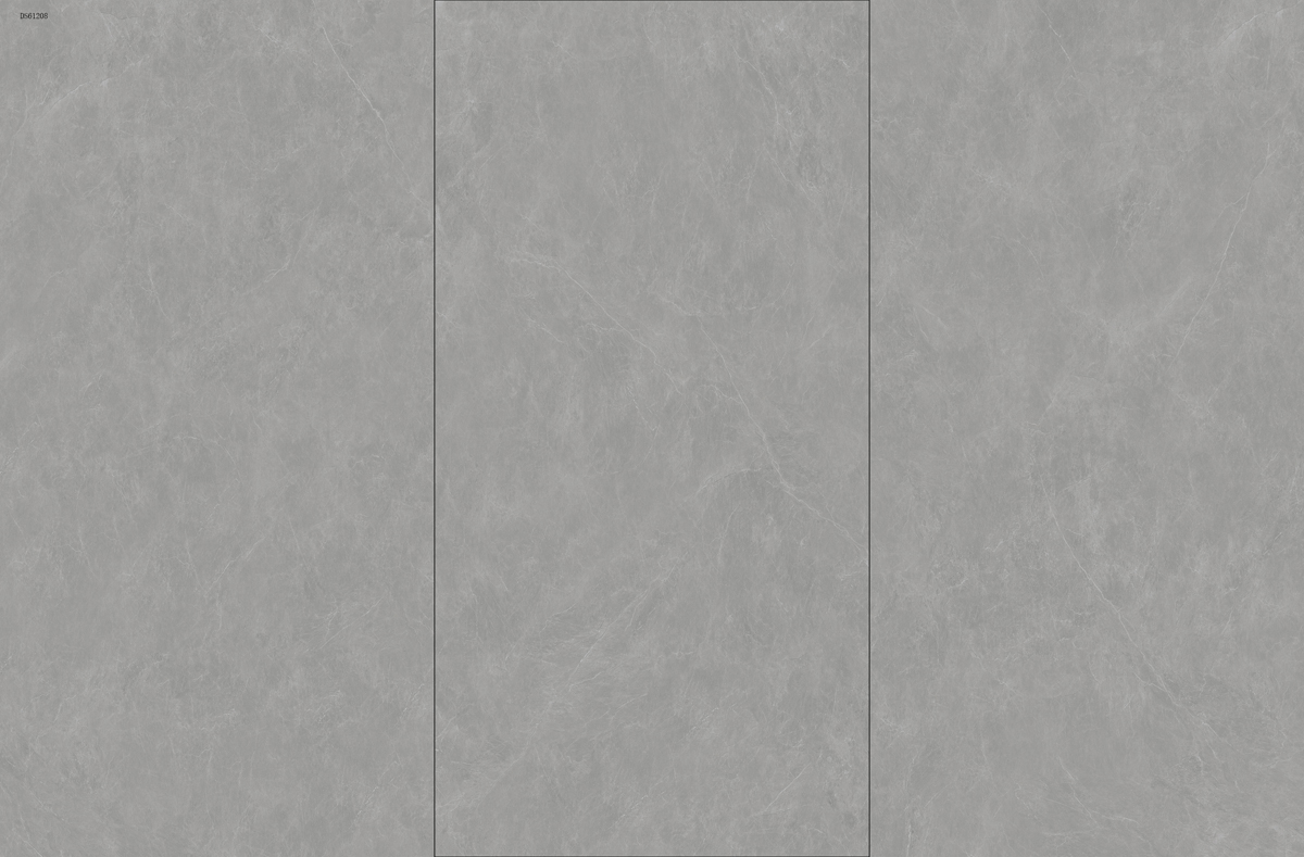 DS612008